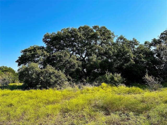 Listing photo 3 for TBD County Road 4190, Clifton TX 76634