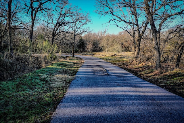 3801 Dugas Rd, Aubrey, TX 76227 - view of road with a view of trees