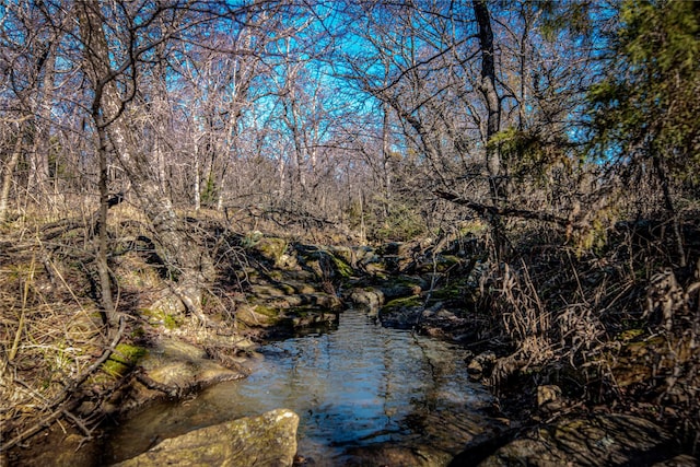 3801 Dugas Rd, Aubrey, TX 76227 - view of water feature
