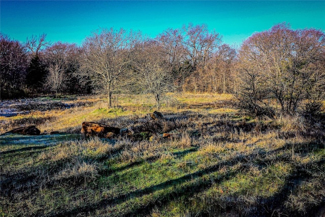 3801 Dugas Rd, Aubrey, TX 76227 - view of nature