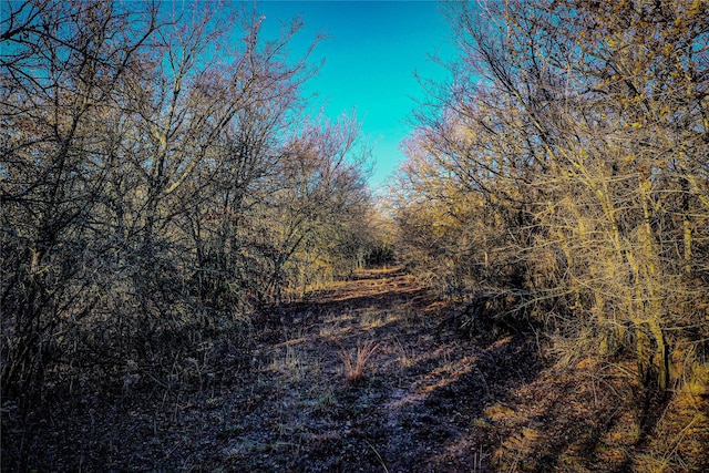 3801 Dugas Rd, Aubrey, TX 76227 - view of nature