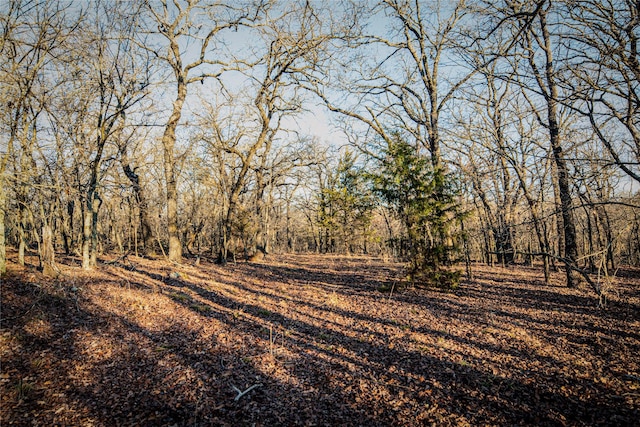 3801 Dugas Rd, Aubrey, TX 76227 - view of nature