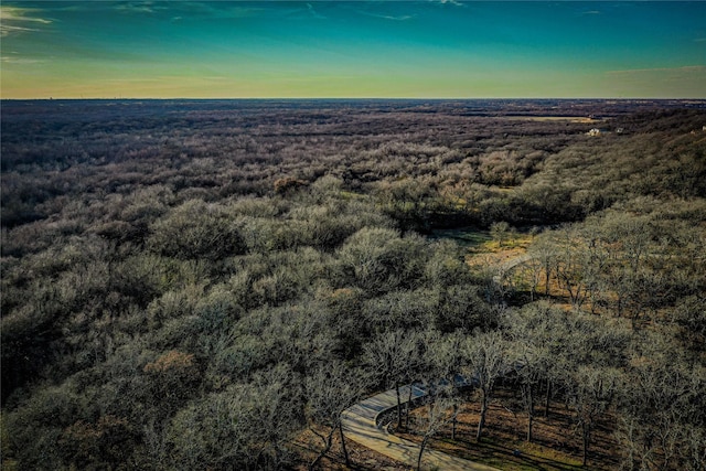 3801 Dugas Rd, Aubrey, TX 76227 - bird's eye view featuring a wooded view