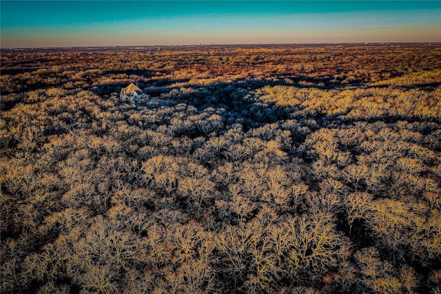3801 Dugas Rd, Aubrey, TX 76227 - aerial view