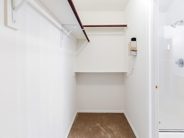 walk in closet with carpet floors