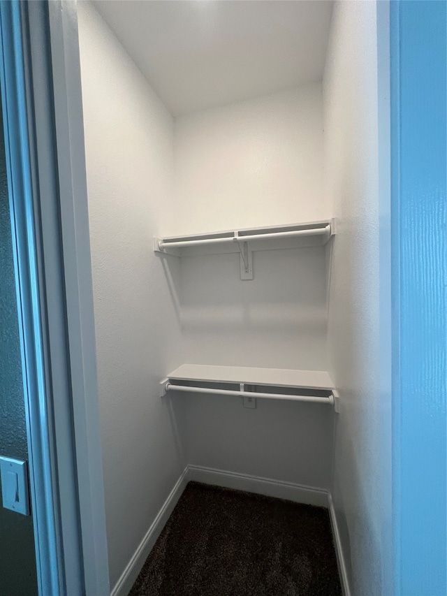 walk in closet featuring carpet