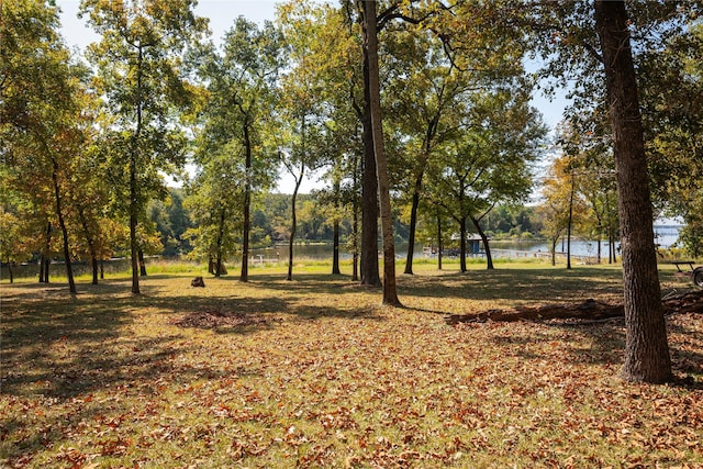 view of nature featuring a water view