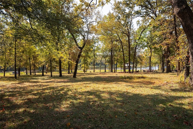 exterior space with a yard