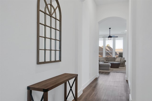 corridor with dark hardwood / wood-style floors