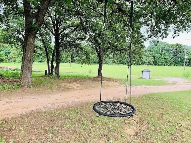 207 Emberson Chapel Rd, Pilot Point, TX 76258 - view of yard