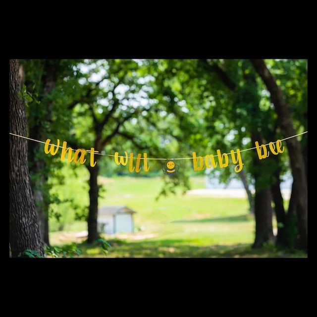 207 Emberson Chapel Rd, Pilot Point, TX 76258 - view of community