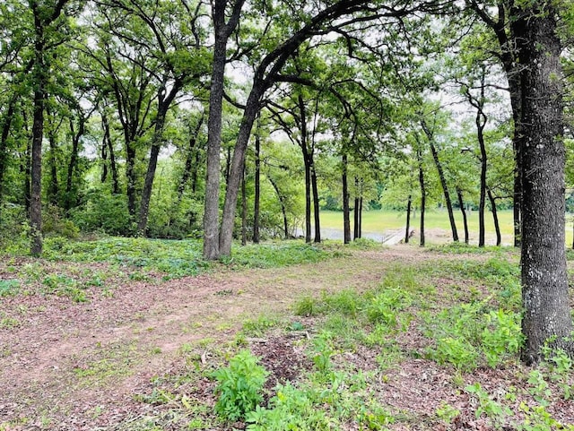 207 Emberson Chapel Rd, Pilot Point, TX 76258 - view of local wilderness
