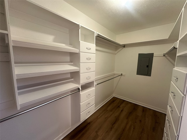 walk in closet with dark hardwood / wood-style flooring and electric panel