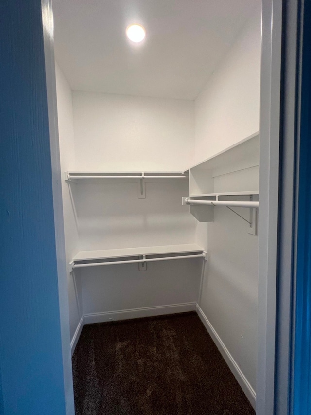 spacious closet with dark carpet