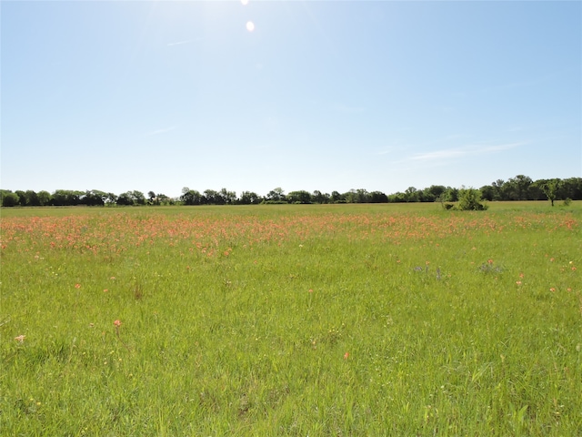 Listing photo 3 for 1829 Vz County Road 2311, Mabank TX 75147