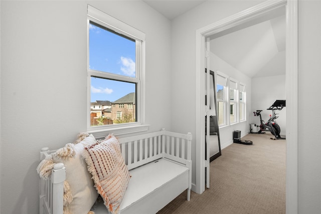 interior space with carpet flooring, a healthy amount of sunlight, and lofted ceiling