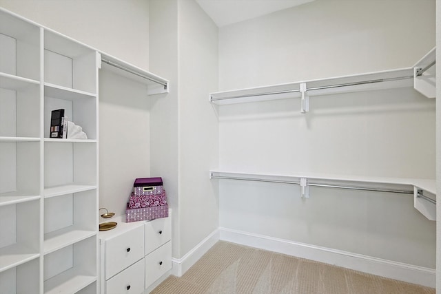 spacious closet featuring light colored carpet