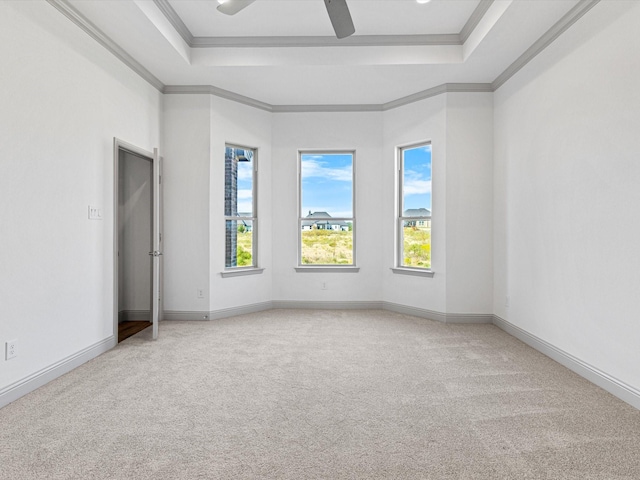 carpeted spare room featuring ornamental molding, ceiling fan, and a tray ceiling