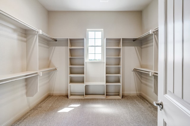 spacious closet featuring carpet