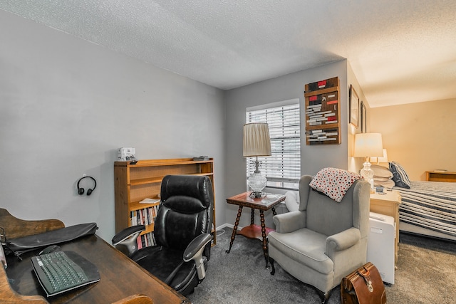 office with carpet and a textured ceiling