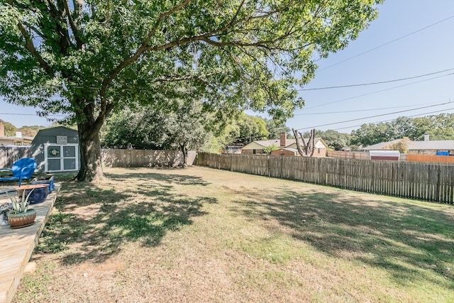 view of yard featuring a shed