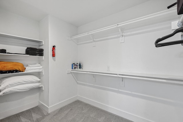 spacious closet featuring light carpet