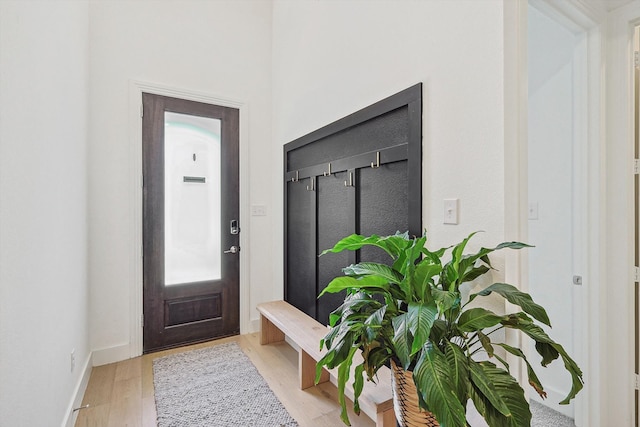 entryway with light hardwood / wood-style flooring