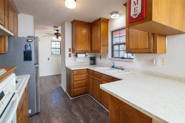 kitchen with stainless steel fridge, sink, plenty of natural light, and dark hardwood / wood-style flooring