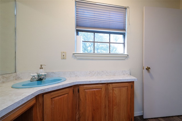 bathroom featuring vanity and hardwood / wood-style floors