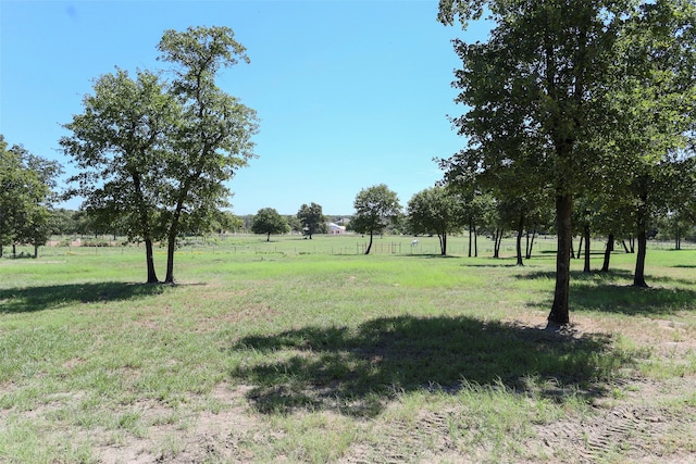 view of yard featuring a rural view