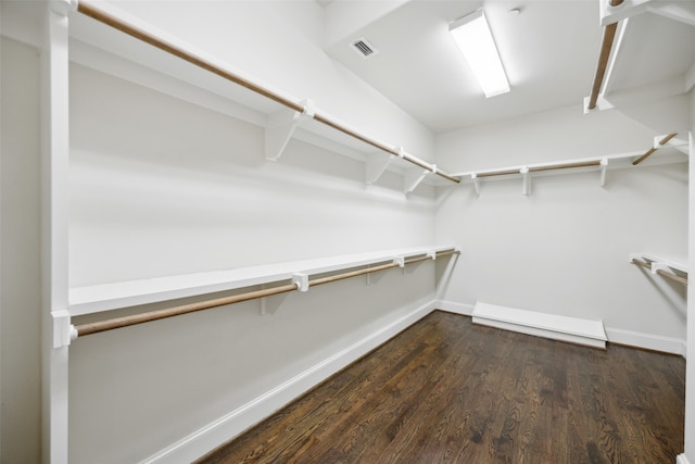 walk in closet featuring dark hardwood / wood-style floors