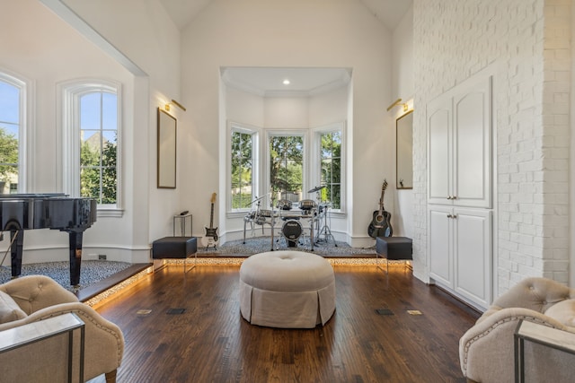 living area featuring dark wood-type flooring, crown molding, and high vaulted ceiling