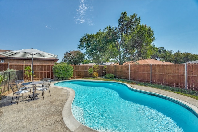 view of swimming pool featuring a patio