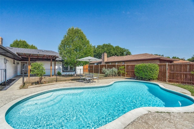 view of pool featuring a patio area