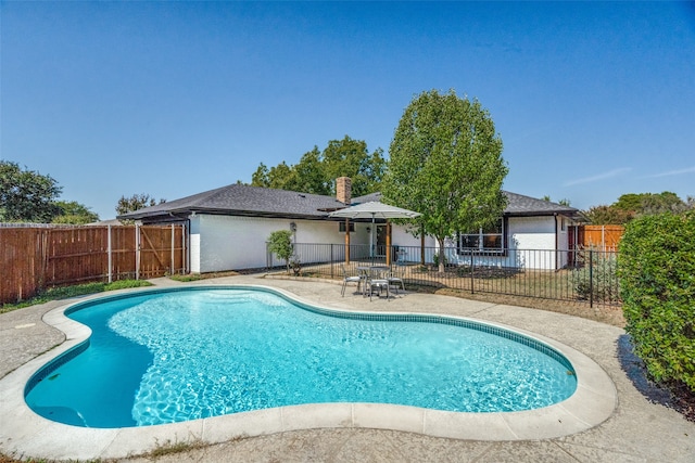 view of swimming pool with a patio area