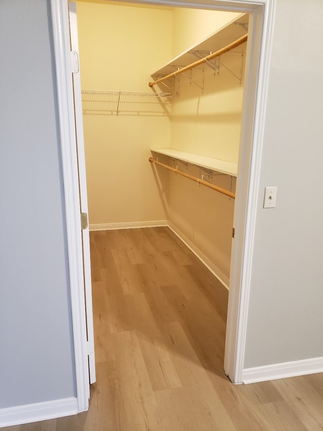 walk in closet featuring wood-type flooring