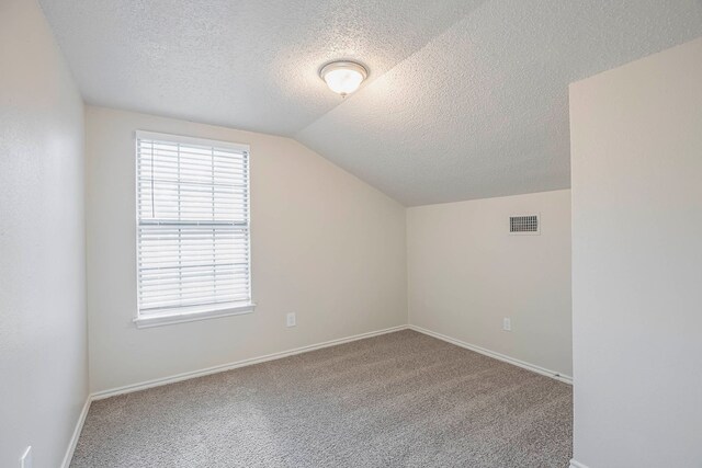 additional living space with lofted ceiling, a textured ceiling, and carpet