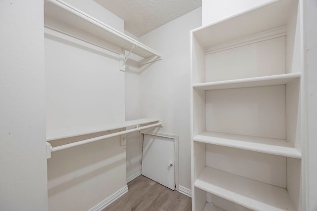 walk in closet with light hardwood / wood-style flooring