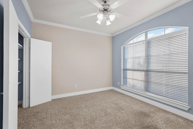 spare room featuring carpet flooring, ceiling fan, and ornamental molding