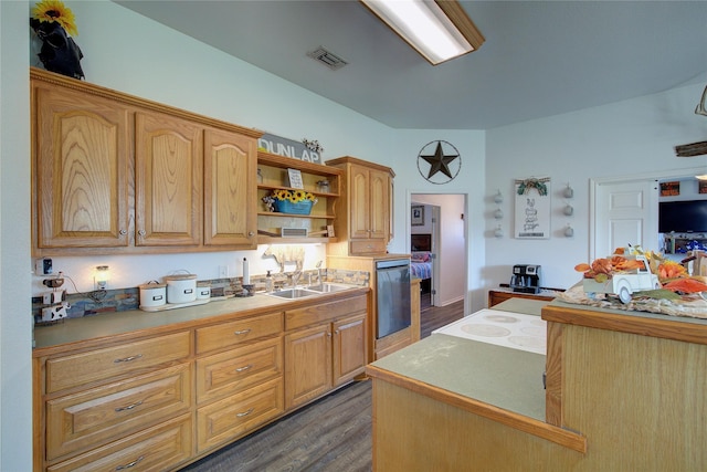 kitchen featuring dishwashing machine, sink, and dark hardwood / wood-style floors