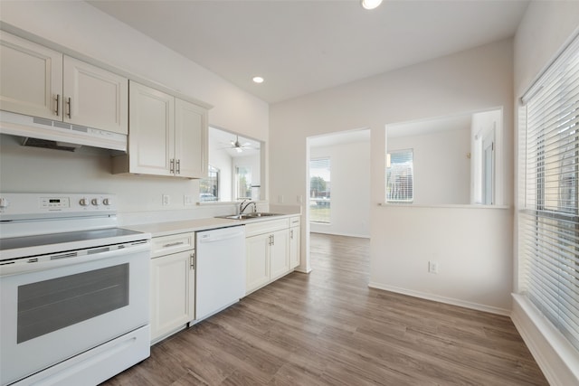 kitchen with light hardwood / wood-style flooring, white cabinetry, sink, and white appliances