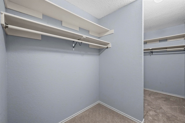 walk in closet featuring carpet floors