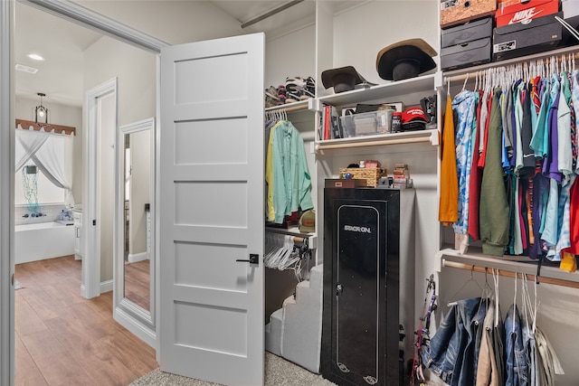 spacious closet with hardwood / wood-style flooring