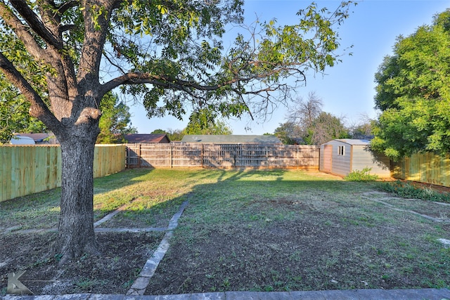 view of yard featuring a storage shed