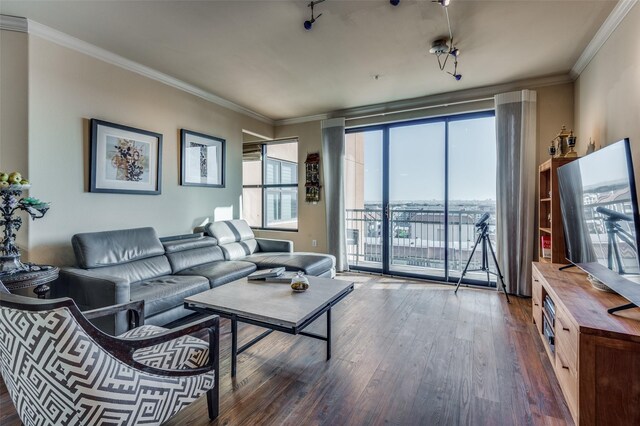 living room featuring ornamental molding, wood-type flooring, and rail lighting