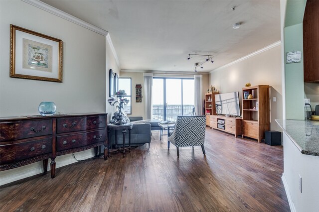 interior space with dark wood-type flooring, ornamental molding, rail lighting, and sink