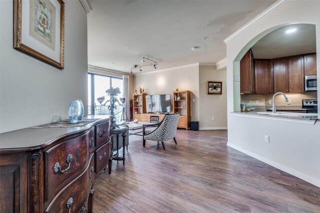 dining space featuring ornamental molding, a tray ceiling, wood-type flooring, and rail lighting