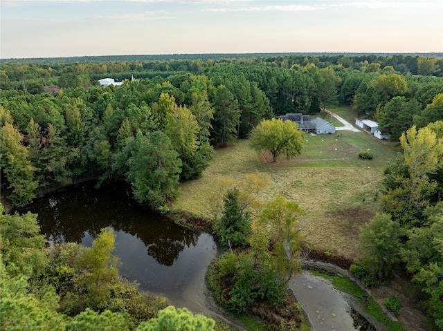 1490 Farm Rd Unit 2120, Clarksville, TX 75426 - aerial view featuring a forest view and a water view