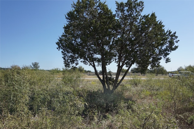 Listing photo 3 for LOT1018 Turtle Dove Ln, Possum Kingdom Lake TX 76449