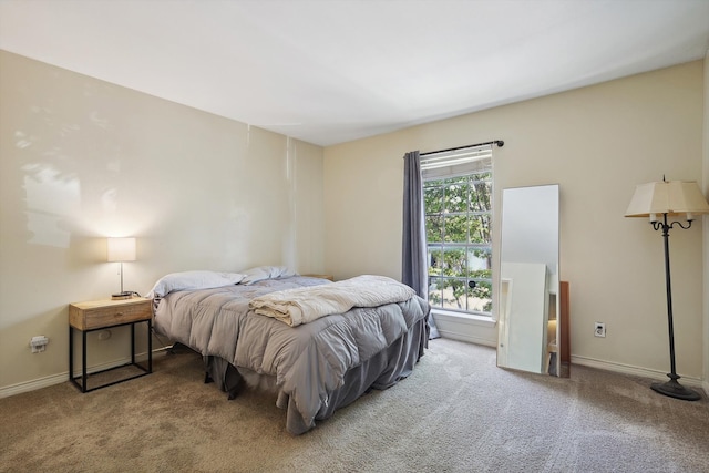 bedroom with carpet floors